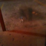 155 Bullet holes give a little character to the establishment.